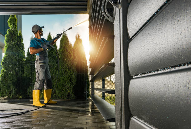 Best Graffiti Removal  in Sumner, IA